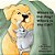Where Is The Dog, Where Is The Cat?: A Biscuit And Gravy Adventure-.. - Imagem 1