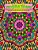 Big Kids Coloring Book: Intermediate Zendalas (Zentangled Mandalas - Single Pages For Markers And Paints)-.. - Imagem 1