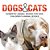 Dogs And Cats: Domestic Animal Books For Kids Children's Animal Books-.. - Imagem 1