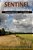 Sentinel Literary Quarterly: The Magazine Of World Literature-.. - Imagem 1