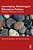 Developing Multilingual Education Policies: Theory, Research, Practice-.. - Imagem 1