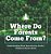Where Do Forests Come From? Understanding Plant Reproduction Grade 5 Children's Nature Books-.. - Imagem 1