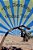 The Bending Joshua Tree-.. - Imagem 1