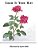 Color It Your Way: Coloring Book-.. - Imagem 1