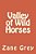 Valley Of Wild Horses-.. - Imagem 1