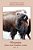 Messages From The Hidden Lake Vol. 8: Literary & Art Collection Of The Alamosa Public Library-.. - Imagem 1