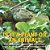 Is It A Plant Or An Animal? How Do Scientists Identify Plants And Animals? Compare And Contrast Biology Grade 3 Children's Biology Books-.. - Imagem 1