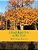 A Grand Maple Tree On Mill Circle-.. - Imagem 1