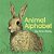 Animal Alphabet-.. - Imagem 1