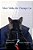 Meet Tabby The Therapy Cat-.. - Imagem 1