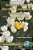 Identity And Second Language Learning: Culture, Inquiry, And Dialogic Activity In Educational Contexts-.. - Imagem 1