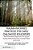Trauma-Informed Practices For Early Childhood Educators: Relationship-Based Approaches That Reduce Stress, Build Resilience And Support Healing In You-.. - Imagem 1