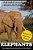 Elephants: The Largest Land Animals On The Planet-.. - Imagem 1