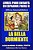 Livres Pour Enfants En Espagnol Facile 6: La Bella Durmiente-.. - Imagem 1