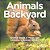 Animals In My Backyard - Animal Book 4 Years Old Children's Animal Books-.. - Imagem 1
