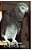 Aj The African Grey-.. - Imagem 1