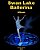 Swan Lake Ballerina Album-.. - Imagem 1