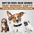Why Do Dogs Hear Sounds That Humans Can'T? - The Science Of Sound Children's Science Of Light & Sound-.. - Imagem 1