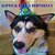 Kipnuk Has A Birthday-.. - Imagem 1