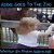 Abbie Goes To The Zoo-.. - Imagem 1