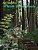 A Walk In The Woods: Quilt Exhibit-.. - Imagem 1