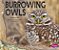 Burrowing Owls-.. - Imagem 1
