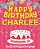 Happy Birthday Charlee - The Big Birthday Activity Book: Personalized Children's Activity Book-.. - Imagem 1