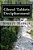 Glozel Tablets Decipherment: Treachery Of Dumnorix Starts The Gaelic War-.. - Imagem 1
