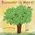 Summer Is Here-.. - Imagem 1
