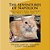 The Adventures Of Napoleon: The Kitten Who Thought He Was A Dog-.. - Imagem 1