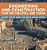 Engineering And Construction That We Can Still See Today - Ancient History Rome Children's Ancient History-.. - Imagem 1