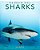 Sharks: Amazing Pictures & Fun Facts On Animals In Nature-.. - Imagem 1