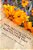 Mapk Signaling Cascade Affecting Plant Response Under Stress-.. - Imagem 1