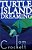 Turtle Island Dreaming-.. - Imagem 1
