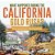 What Happened During The California Gold Rush? History Of The Gold Rush Grade 5 Children's American History-.. - Imagem 1