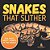 Snakes That Slither: Fun Facts About Snakes Of The World-.. - Imagem 1