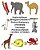 English-Afrikaans Bilingual Children's Picture Dictionary Of Animals Tweetalige Prentewoordeboek Van Diere Vir Kinders-.. - Imagem 1