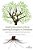 Quality Education In Rural Learning Ecologies In Zimbabwe: Obstacles And Opportunities-.. - Imagem 1