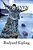 The Seven Seas-.. - Imagem 1