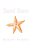 Sand Stars-.. - Imagem 1