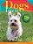 Dogs Love To Play-.. - Imagem 1