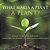 What Makes A Plant A Plant? Structure And Defenses Science Book For Children Children's Science & Nature Books-.. - Imagem 1