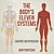 The Body's Eleven Systems Anatomy And Physiology-.. - Imagem 1