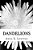 Dandelions-.. - Imagem 1