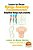 Learn To Draw - Manga Anatomy Fundamentals - Simplified Manga Style Anatomy-.. - Imagem 1