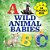 Wild Animal Babies: An Alphabet Book-.. - Imagem 1