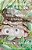 The Curious Misadventures Of Tubby Wexler, Private Investigator-.. - Imagem 1
