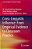 Cross-Linguistic Influence: From Empirical Evidence To Classroom Practice-.. - Imagem 1