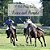 A Polo Pony Fable: Prince And Pampita-.. - Imagem 1