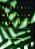 Digital Media In Education: Teaching, Learning And Literacy Practices With Young Learners-.. - Imagem 1